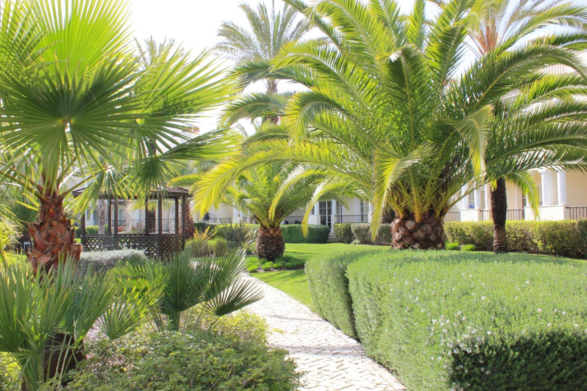 Luxury 3 Bedroom Apartment On Gated Complex Quarteira Exterior photo